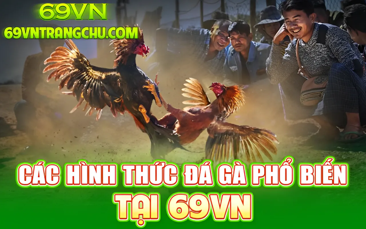 Hướng dẫn chơi đá gà 69VN – các hình thức đá gà phổ biến