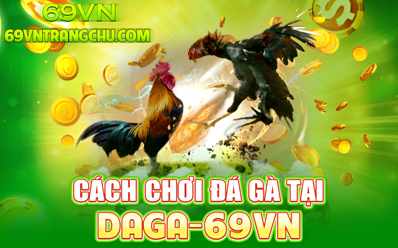 Cách chơi đá gà tại 69VN – chọn kèo, đặt cược, xác nhận OTP