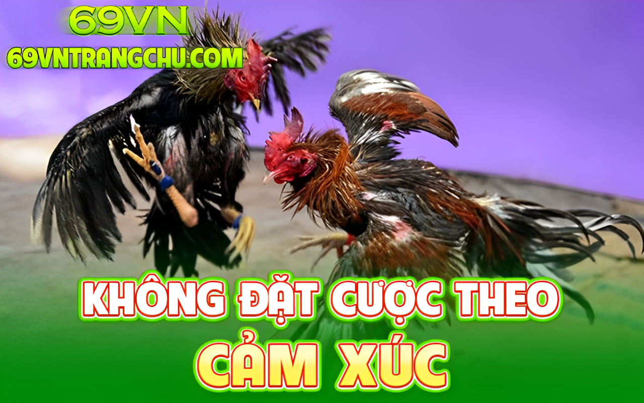 Cược theo chuỗi thắng tại 69VN – quản lý vốn an toàn