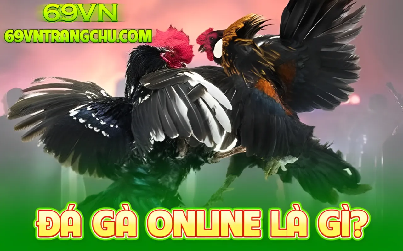 Hướng dẫn chơi đá gà 69VN