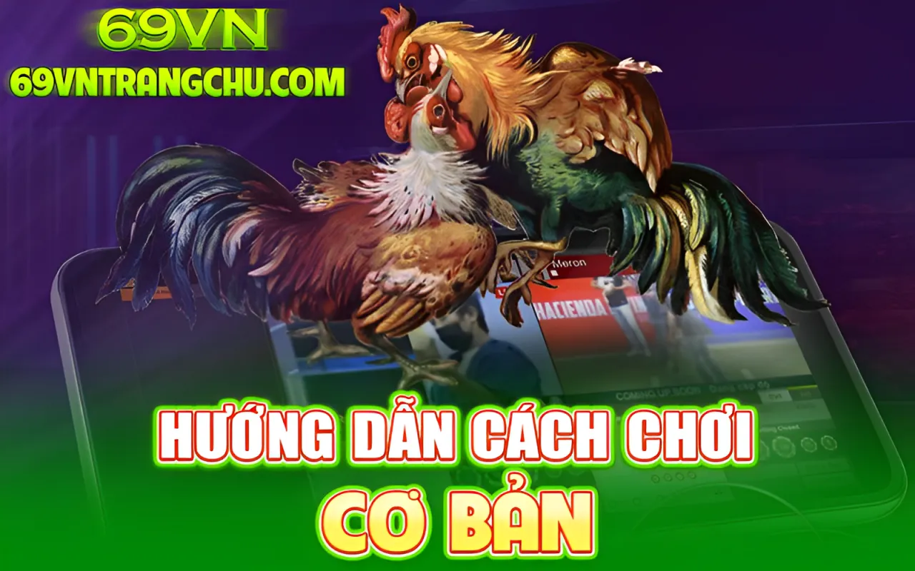 các bước đặt cược cơ bản