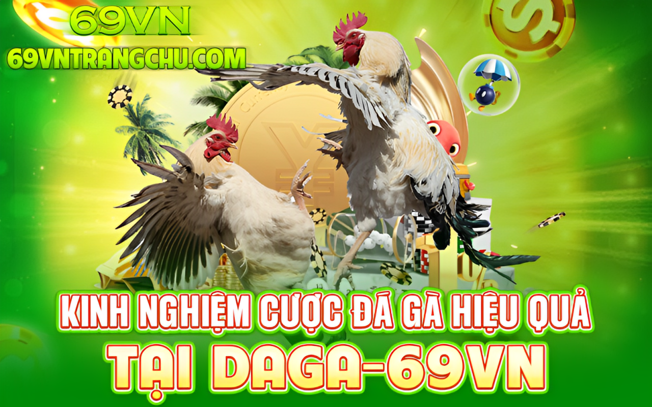 Kinh nghiệm cược đá gà tại 69VN – phân tích thể trạng chiến kê