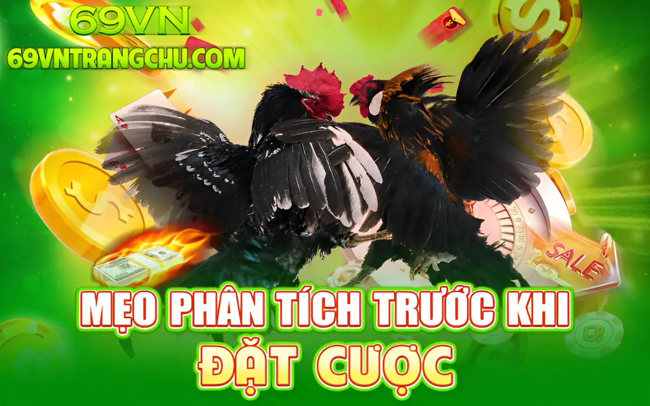 Mẹo phân tích trước khi đặt cược đá gà 69VN